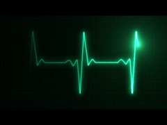 введение компании